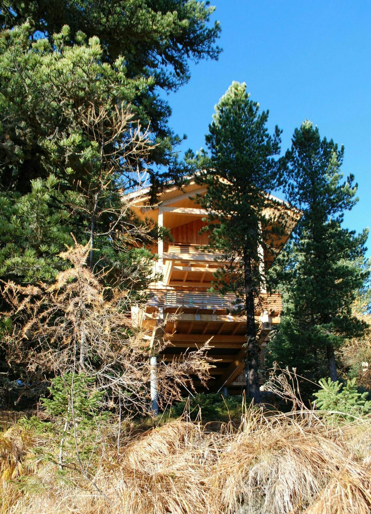 Alpenpark Turracher Hohe Dış mekan fotoğraf